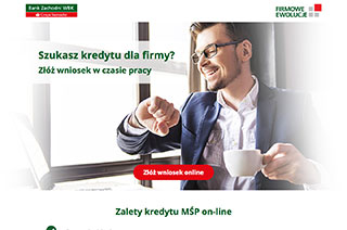 Kredyt MŚP online